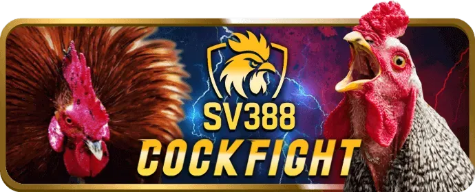 Cá cược thể thao K89BET